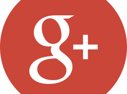 Google Plus Reputation