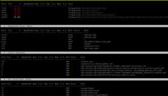 Analisi in tempo reale del log del web server con GOACCESS