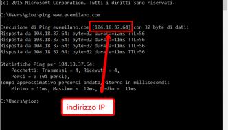 Come lanciare il Ping verso un sito web