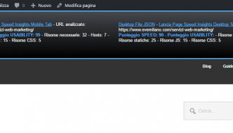Come appare eve_pagespeed in WordPress