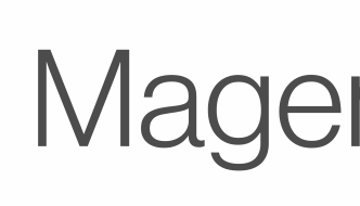 Guida SEO Magento