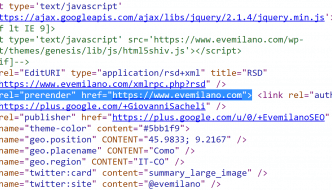 WordPress Dynamic Prerender Meta Tag