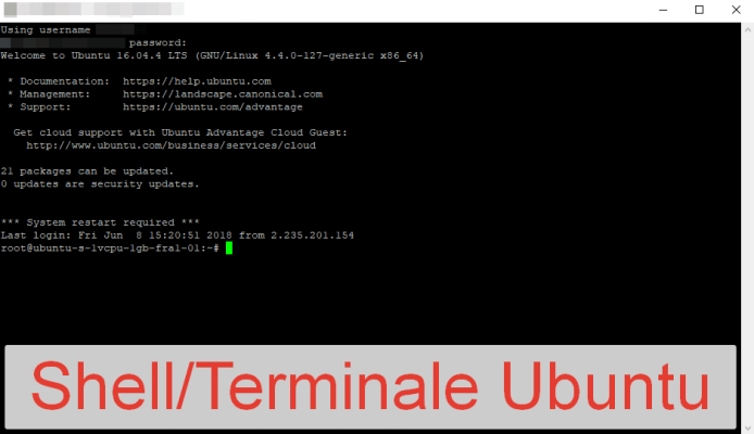 Shell Ubuntu