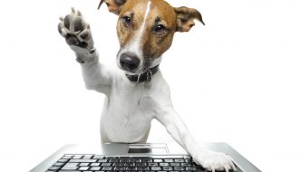 Cane al computer