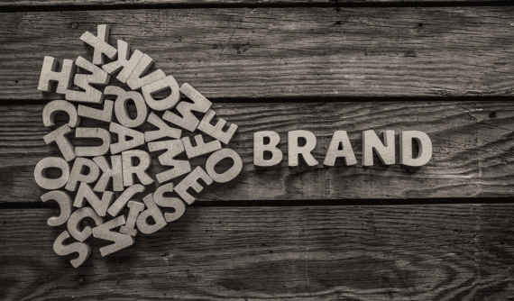 Site Quality Score e branded search: cosa sappiamo davvero (e cosa no) sul ranking brand-driven di Google