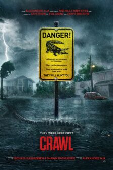 Crawl Budget: guida tecnica completa all’ottimizzazione della scansione Google